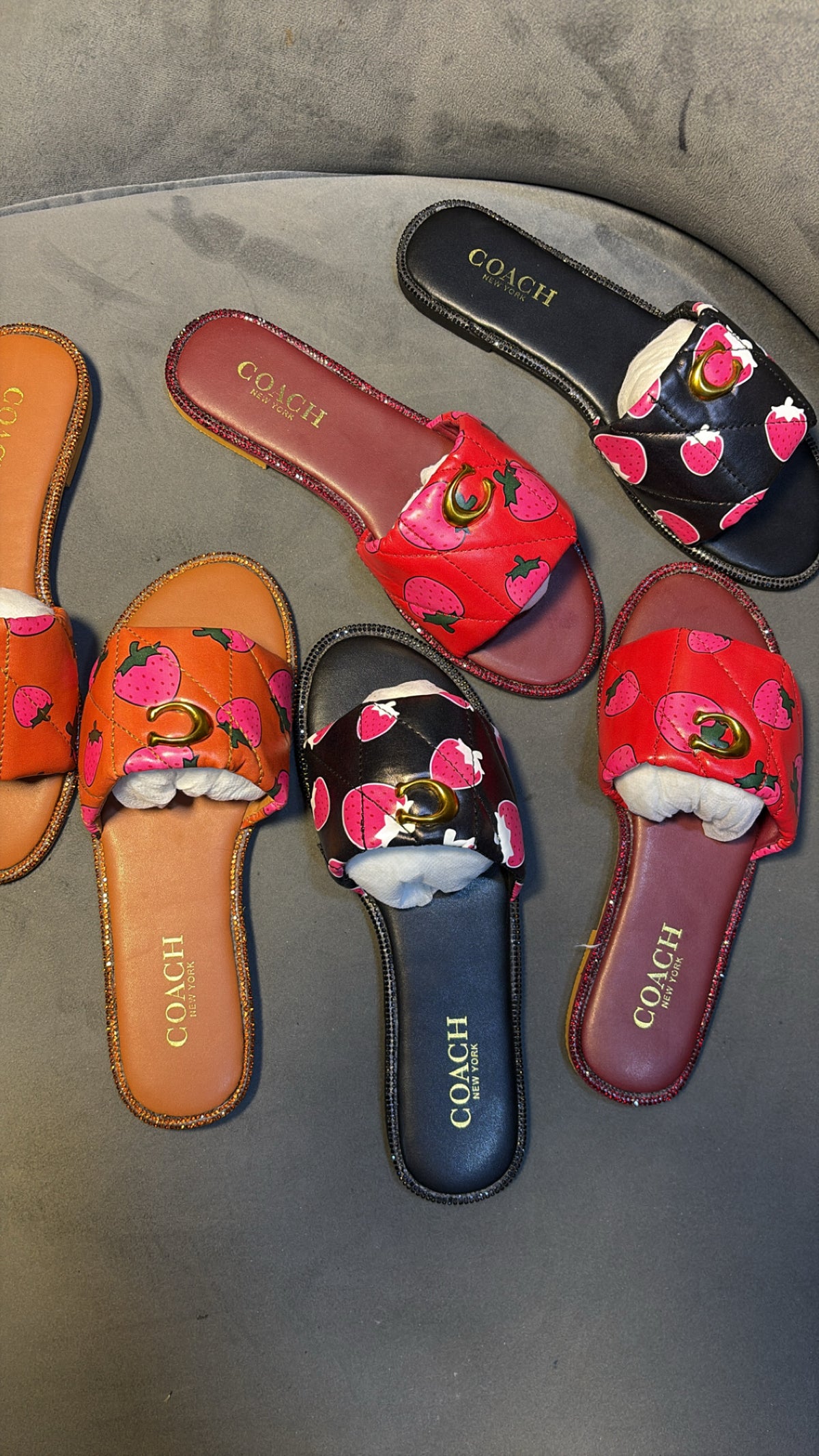 LUXURY CHEERY COACH SLIPPERS
