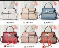 CROCS SKIN HERMES BAG