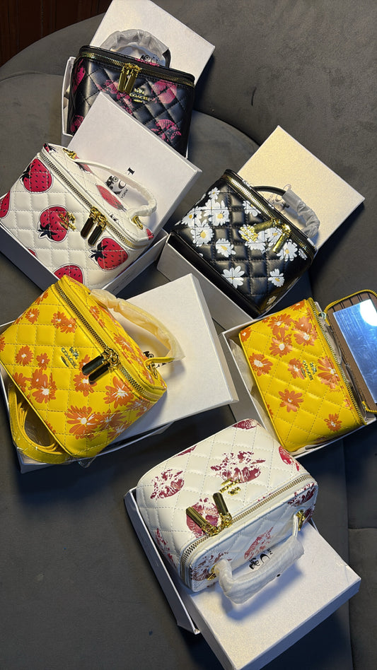 LUXURY BOXED COACH BAG
