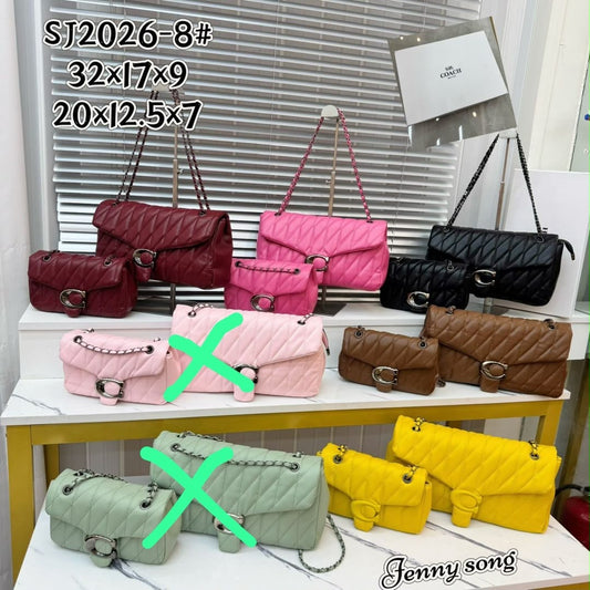 2 IN 1 COACH BOXE BAG