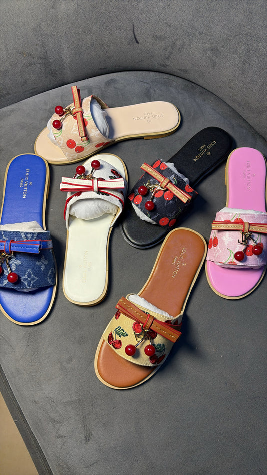LOUIS VUITTON PARIS SLIPPERS